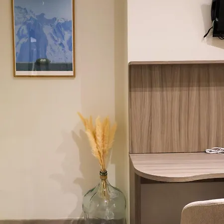 菲尼克斯酒店 里昂